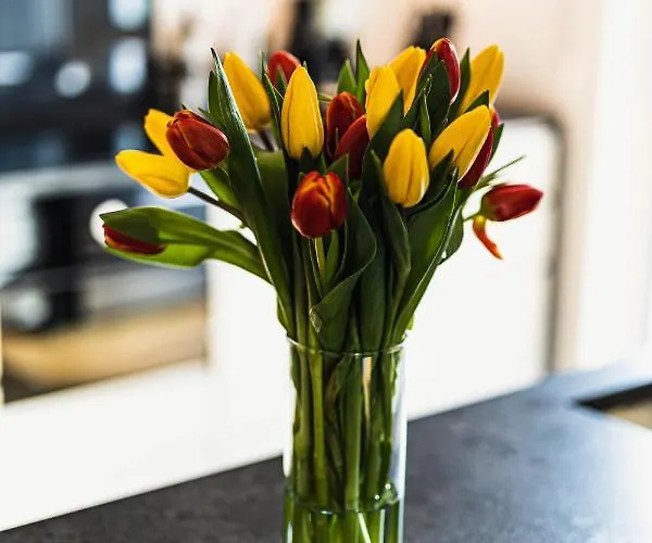 Mountain Pad Garmisch-Partenkirchen